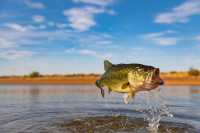 5th Installment of Sherwood Bass Club Tournament Set for Nimrod Lake